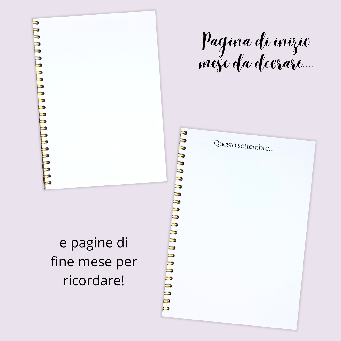Journalenda - lilac picnic