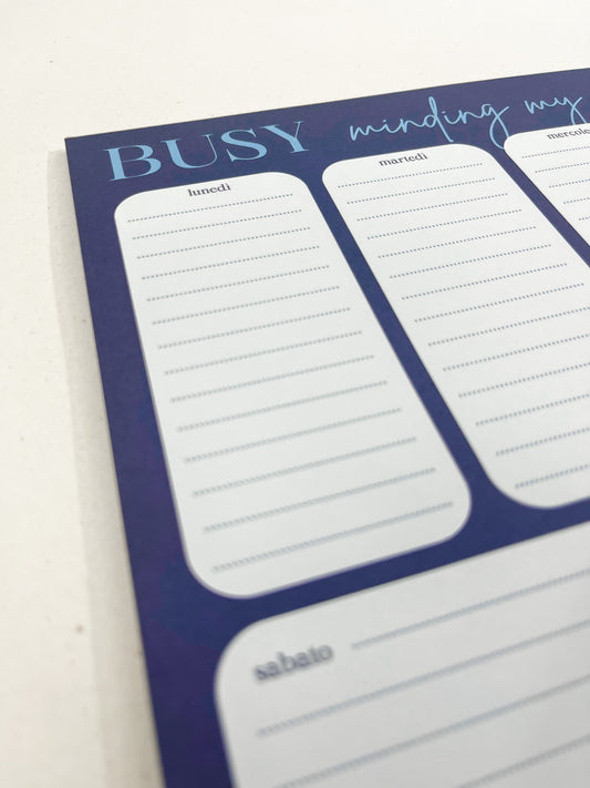 Planner da tavolo blu