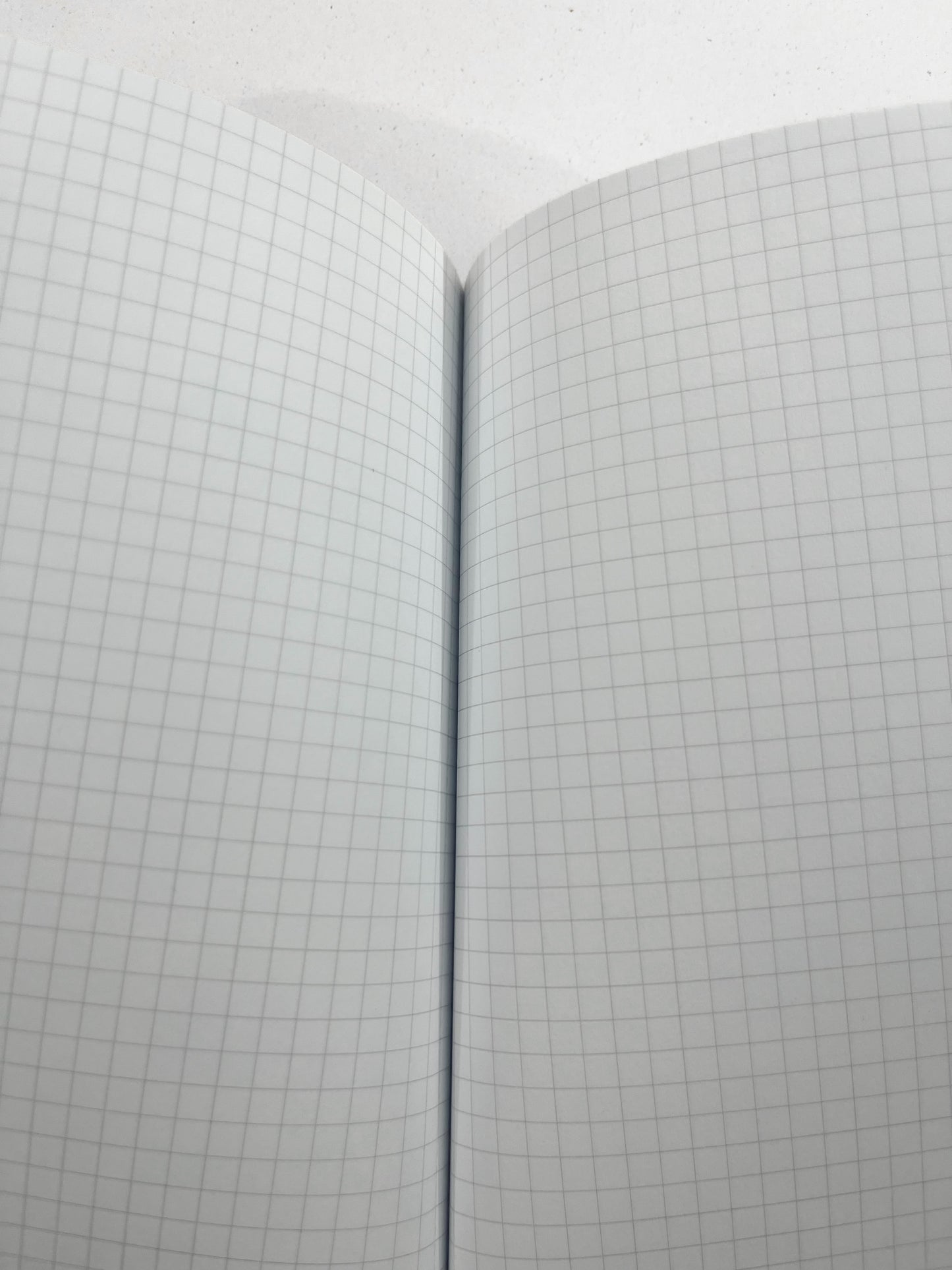 Quaderno blu