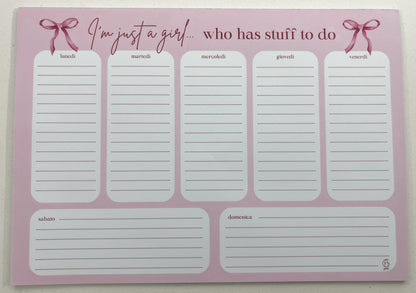 Planner da tavolo rosa